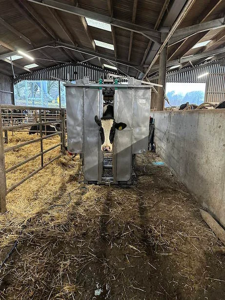 Cumbria concrete grooving in action