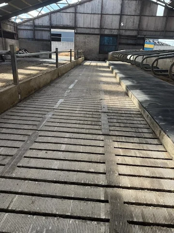 Deep concrete grooving in cattle shed in Dumfries and Galloway